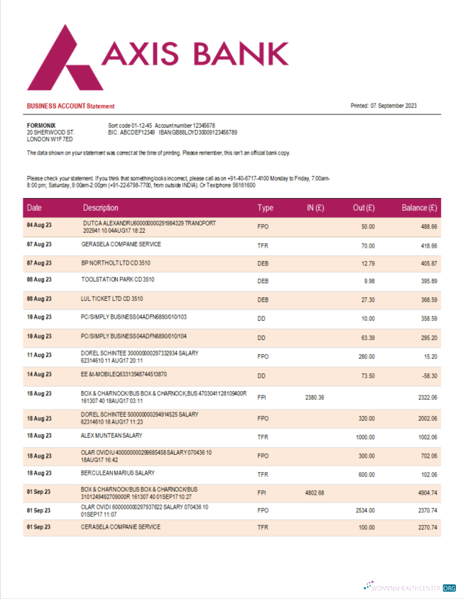 Download Axis Bank enterprise statement Word and PDF template Photoshop template